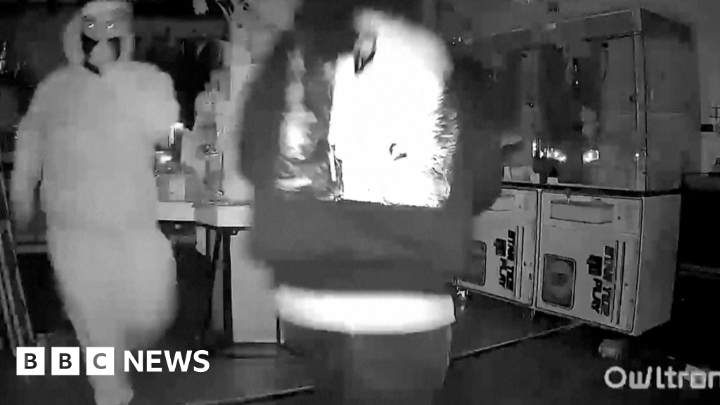 Watch: Masked thieves steal $7k of Labubu dolls in California