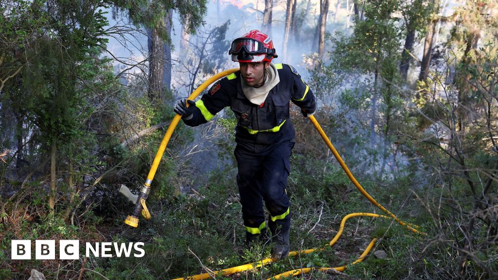 Kebakaran Hutan Terbesar dalam 75 Tahun Melanda Prancis: Situasi Belum Terkendali Meski Intensitas Api Mereda