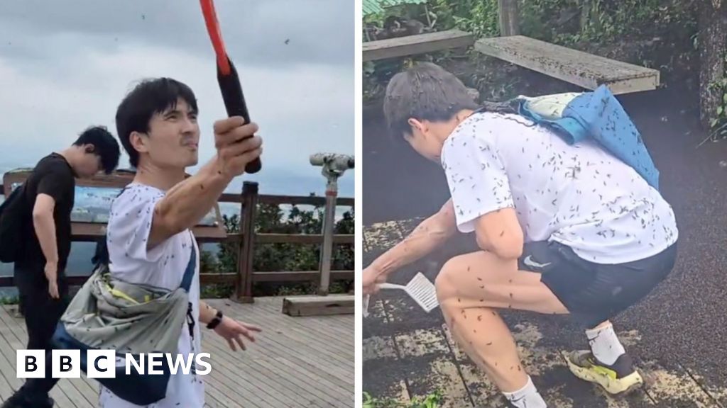 Watch: Millions of ‘lovebugs’ swarm hikers in South Korea