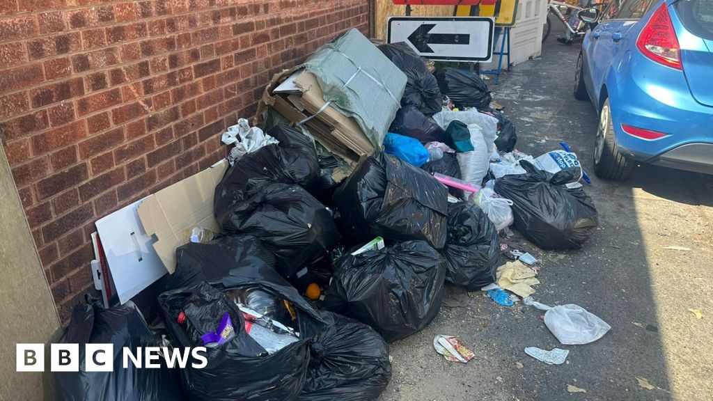 Bin strike during heatwave gives city 'the ick'