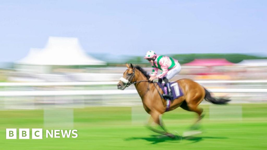 bbc.co.uk - Emma Petrie - Beverley Racecourse celebrated in photography exhibition