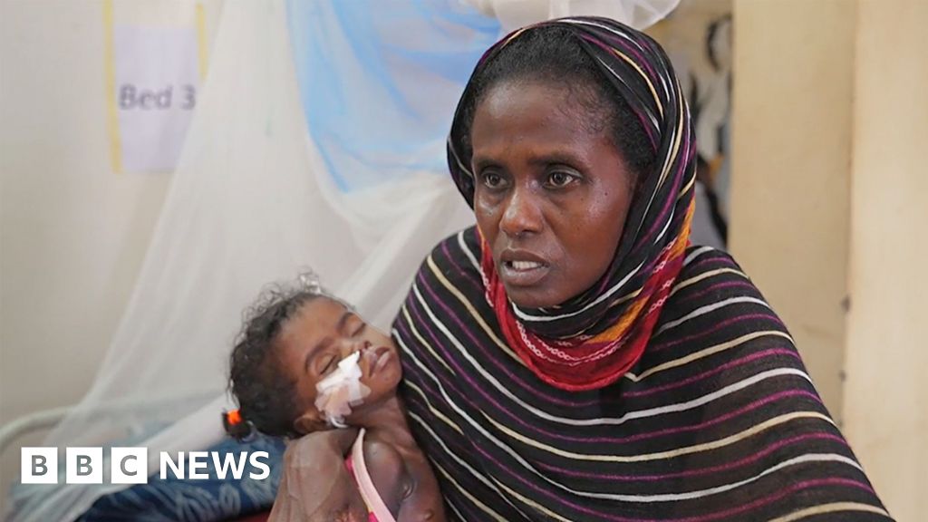 'I can't afford to save both twins': Sudan's war left one mother with an impossible choice