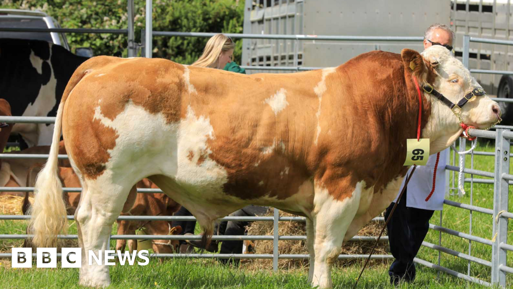 bbc.co.uk - Josh Cann - Full guide to what's on at the Southern Show 2026