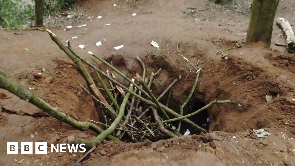 Warwickshire badger sett destroyed and 50 trees trashed for illegal ...