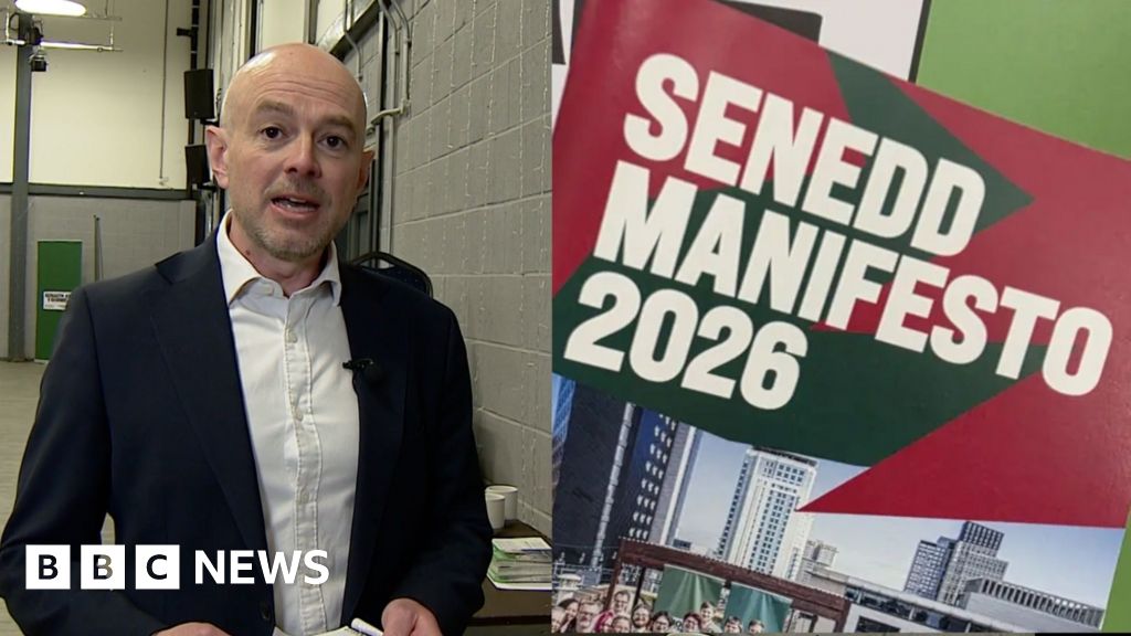 Wales Green Party manifesto explained in a minute