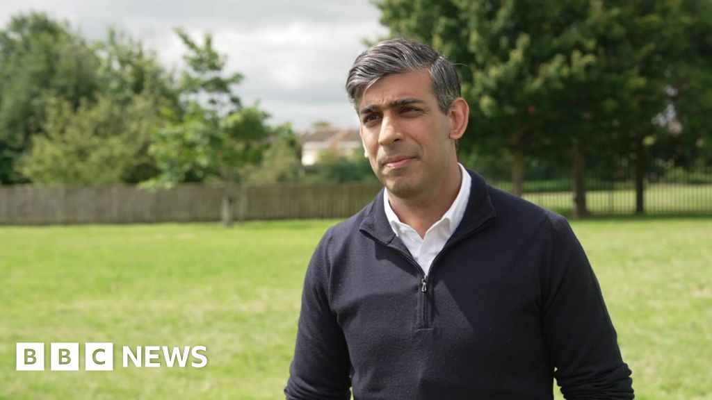 Reform UK activists' racial slur hurts, says Sunak