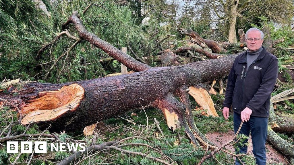 Botanic Garden devastated after Storm Éowyn felled Edinburgh's tallest tree