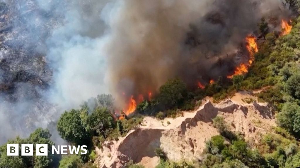 Watch: Europe's wildfires seen from above