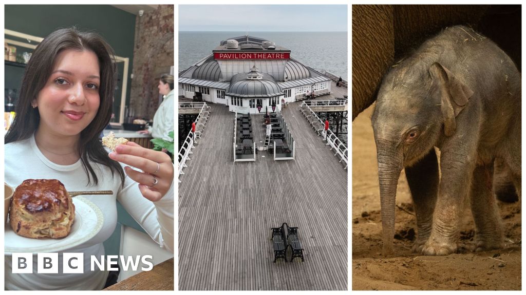 East of England news quiz of the week 13 June