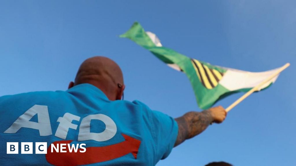 AfD classified as extreme-right by German intelligence