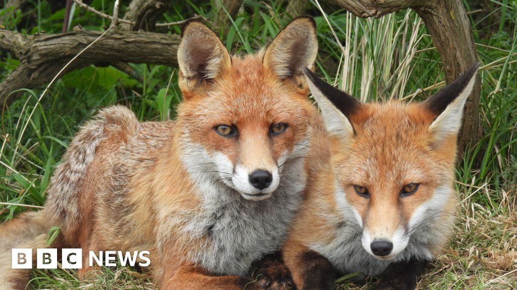 Your pictures of Scotland: 15 – 21 June