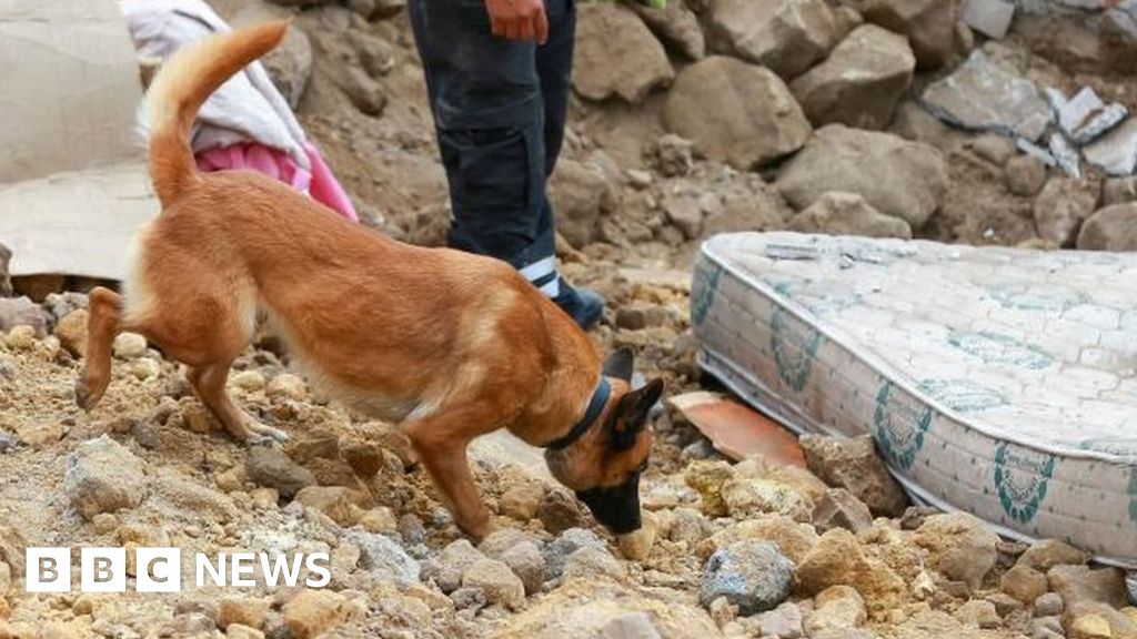 Ecuador landslide: Rescuers dig through mud for survivors