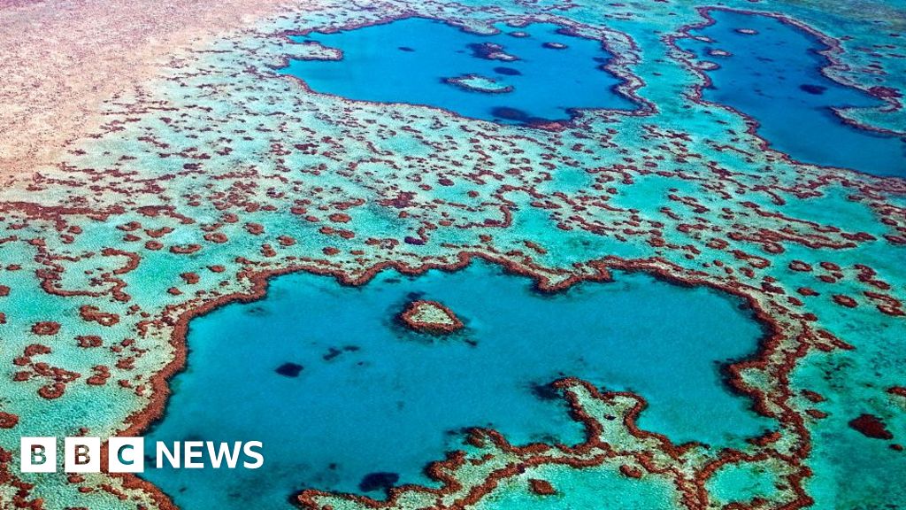 Australia blocks coal mine to protect Great Barrier Reef