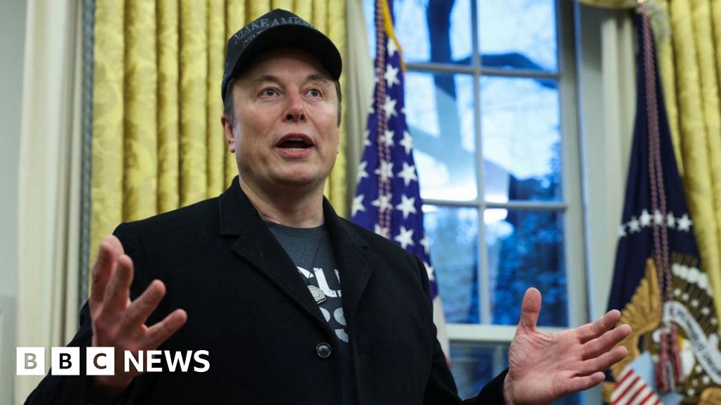 ‘On a power trip’ or ‘obviously brilliant’? Voters weigh Musk’s influence