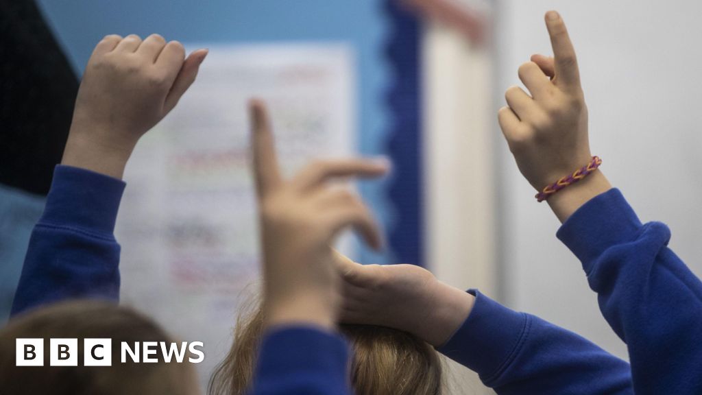 Lib Dems call for cap on SEND school profits