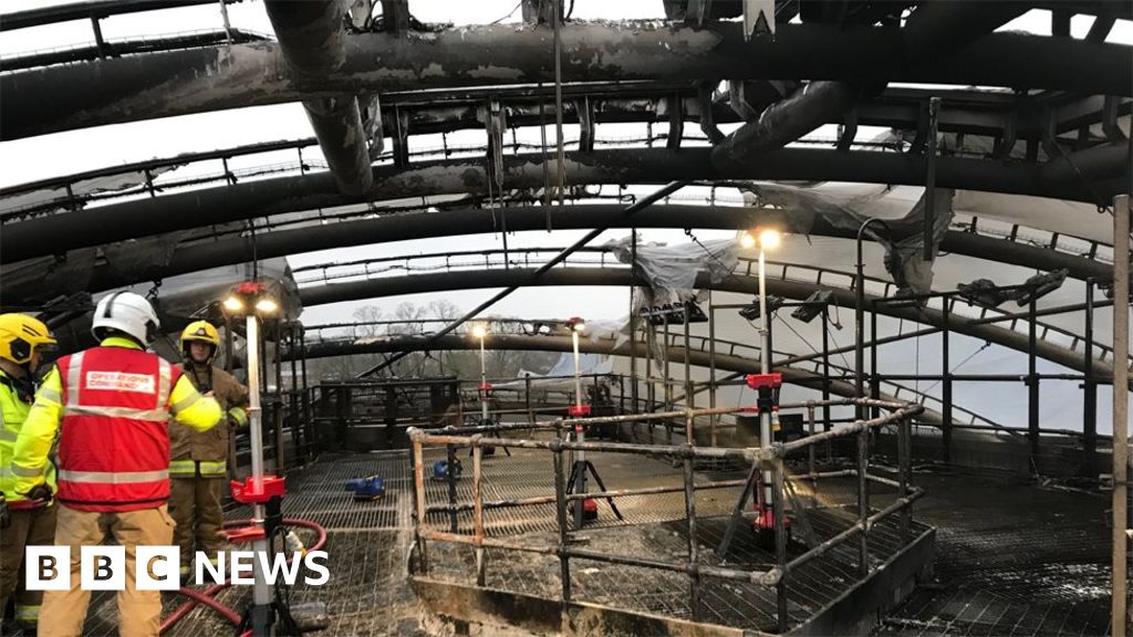 Chester Zoo fire caused by electrical fault BBC News