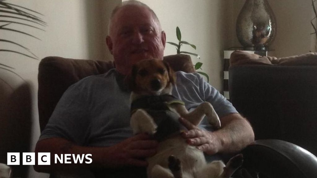 Tributes to Manchester dog walker killed in coach crash BBC News