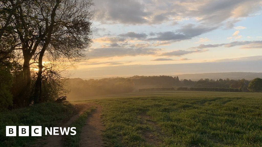 Sevenoaks District Council to consider building on green belt land