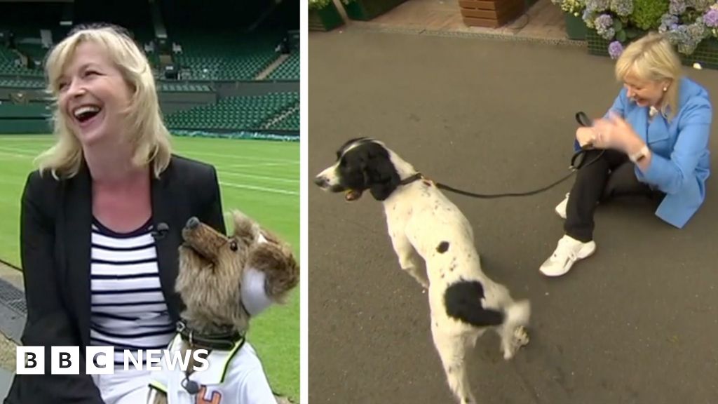 Carol Kirkwood's funniest moments on air