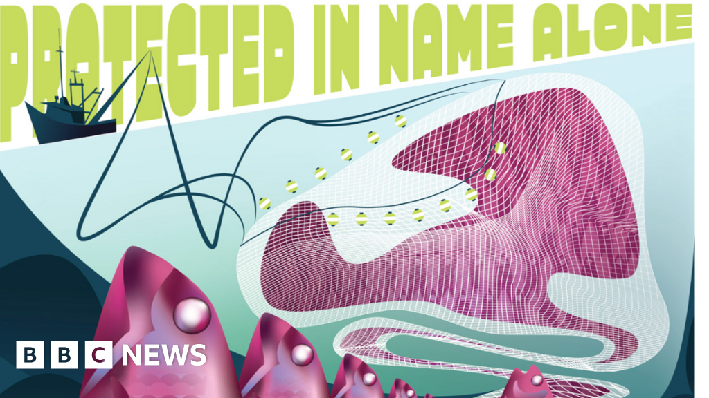 Falmouth students' artwork at Boardmasters show fishing concerns