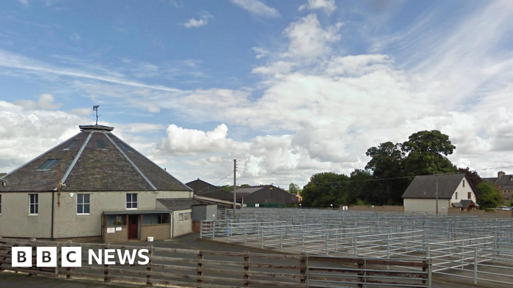 Newtown St Boswells auction mart development takes shape