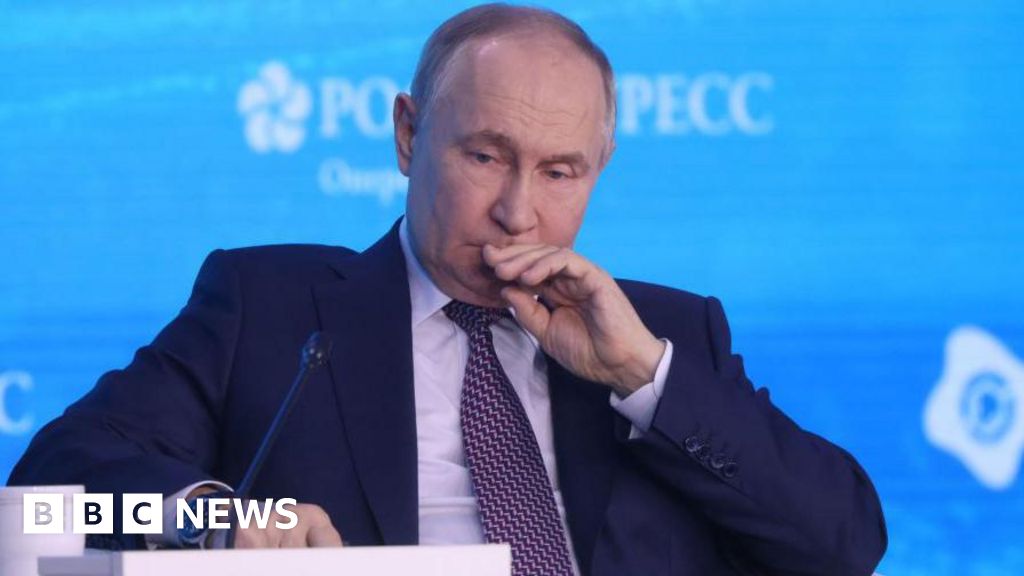 How could Putin respond to US-Ukraine ceasefire plan?