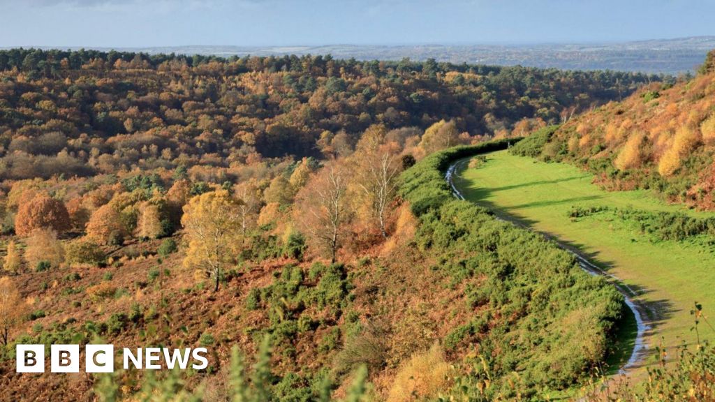 How a lost road helped rewild a rare landscape
