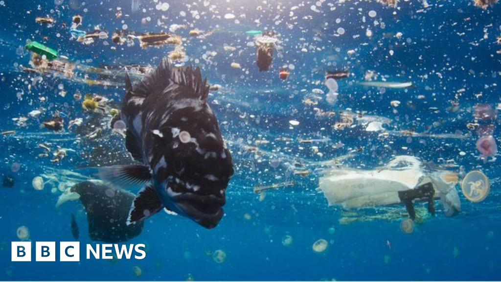 Total ban on plastics 'could damage environment'