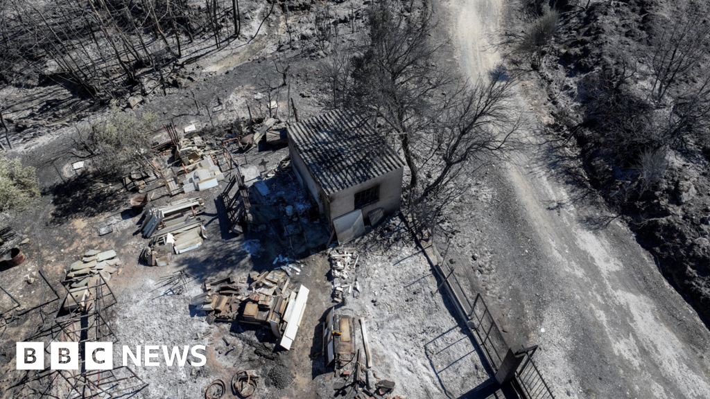 Man heartbroken at witnessing Greek wildfires