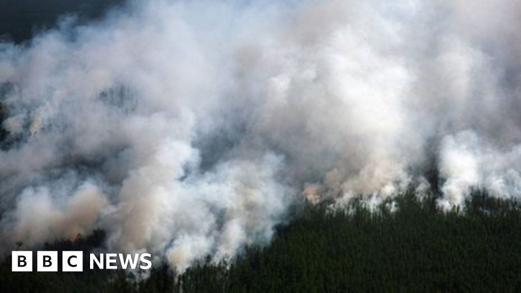 Climate change: Wildfire smoke linked to Arctic melting - BBC