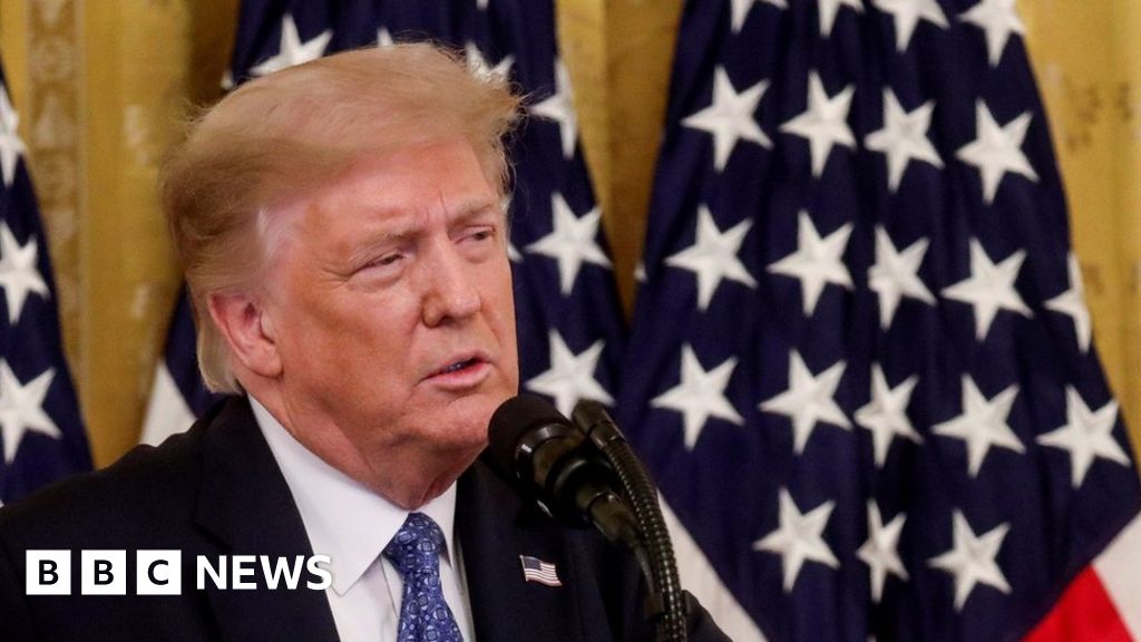 Trump suggests delay to 2020 US election