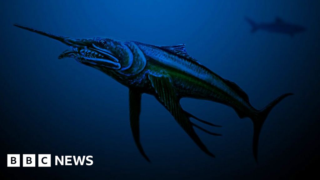 Dinosaurera 'swordfish' discovered in outback Australia BBC News