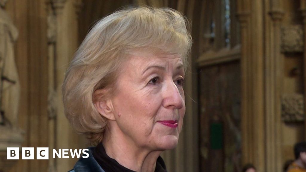 Invest in Northern Ireland to get single market access, says Andrea Leadsom