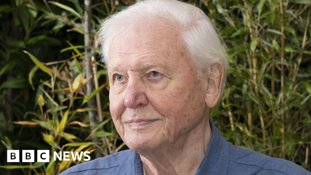 BBC 100: Corporation opens archives to public to mark centenary