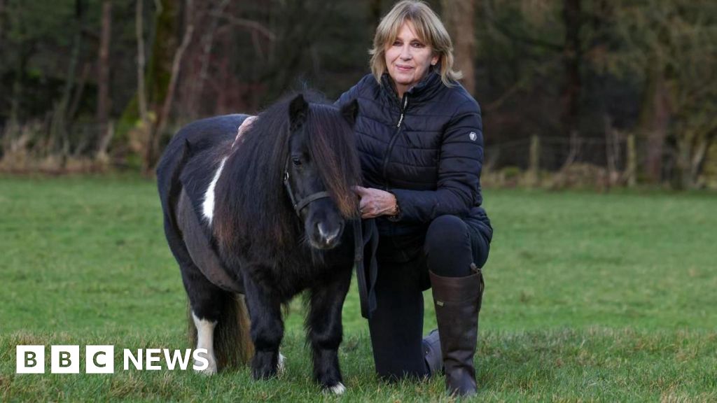 bbc.co.uk - Fiona Callow - Malton equine hospital saves miniature horse and unborn foal - BBC News