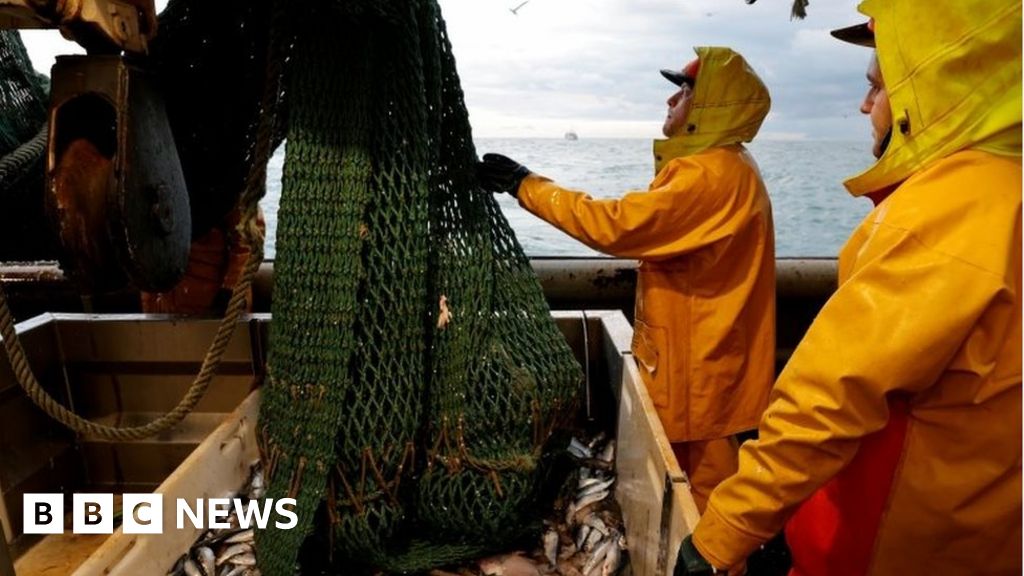 Brexit: sinne over regjeringens manglende evne til å sikre en fiskeavtale med Norge