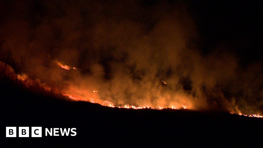 Scorched aftermath of Belfast gorse fires