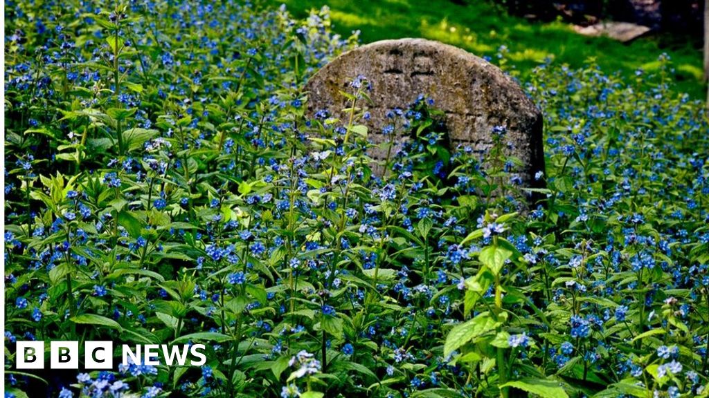 Remembering the Jewish dead