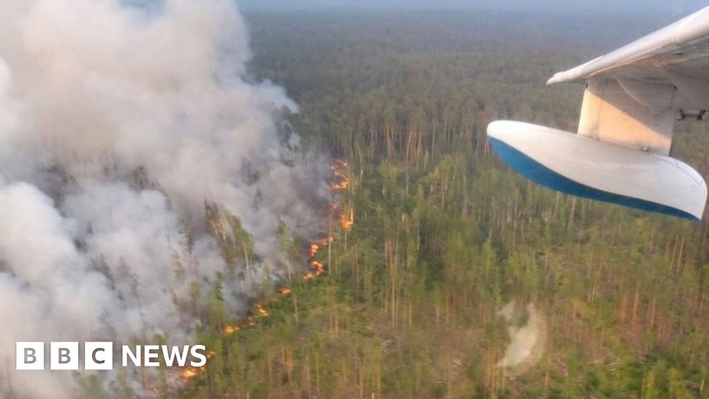 Russian Army Ordered To Tackle Massive Wildfires - BBC News