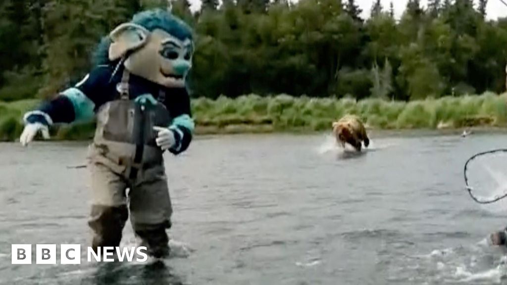 Bear chases hockey mascot during photoshoot