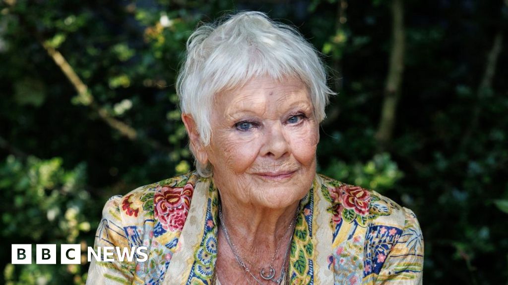 Dame Judi Dench and John Cena voice the Meta-AI chatbot