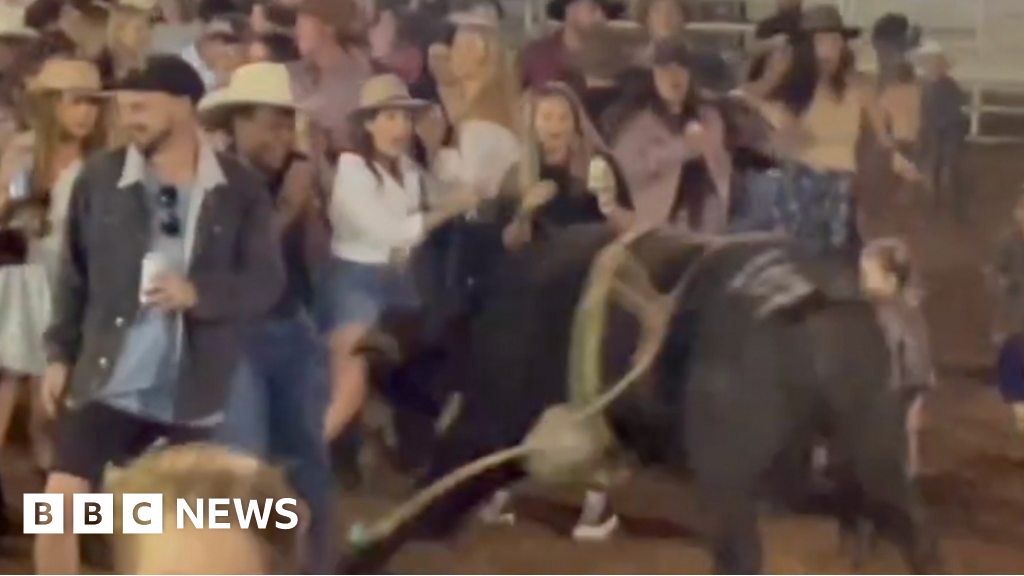 Watch: Escaped bull charges into dancing crowd
