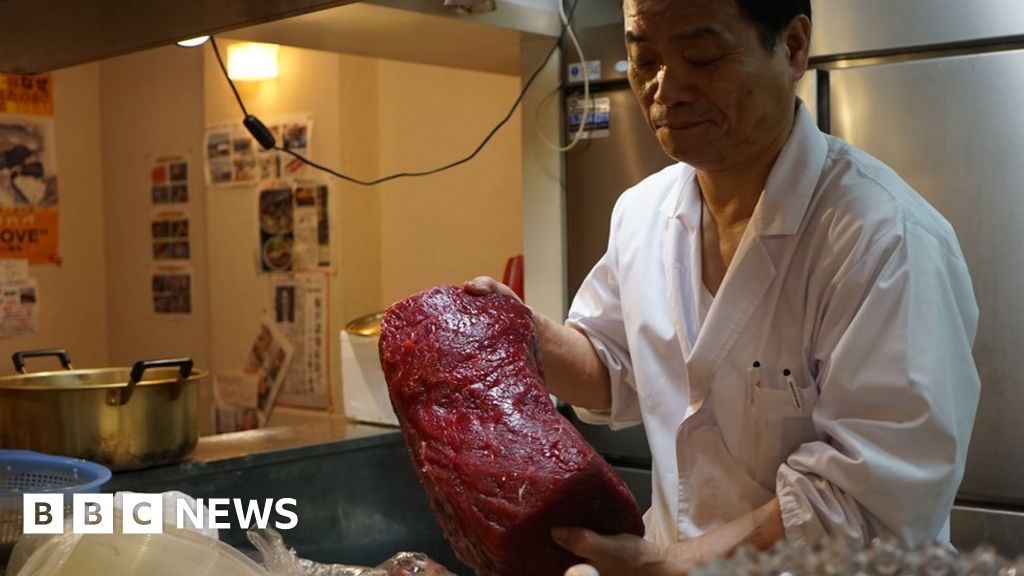 Japan Auctions Controversial Whale Meat As Commercial Hunting Ban Lifted c News
