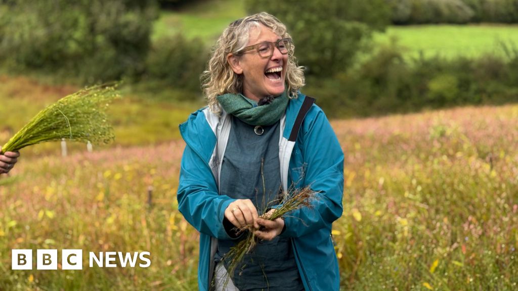 Flax: The historic plant making a comeback