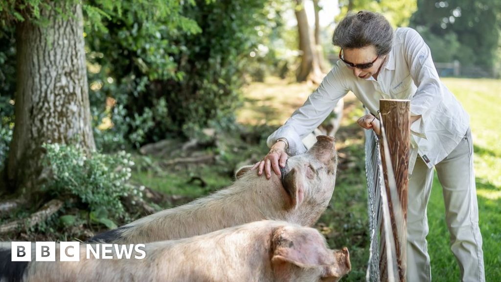 Princess Anne: Fly-tipping 'a major irritation'