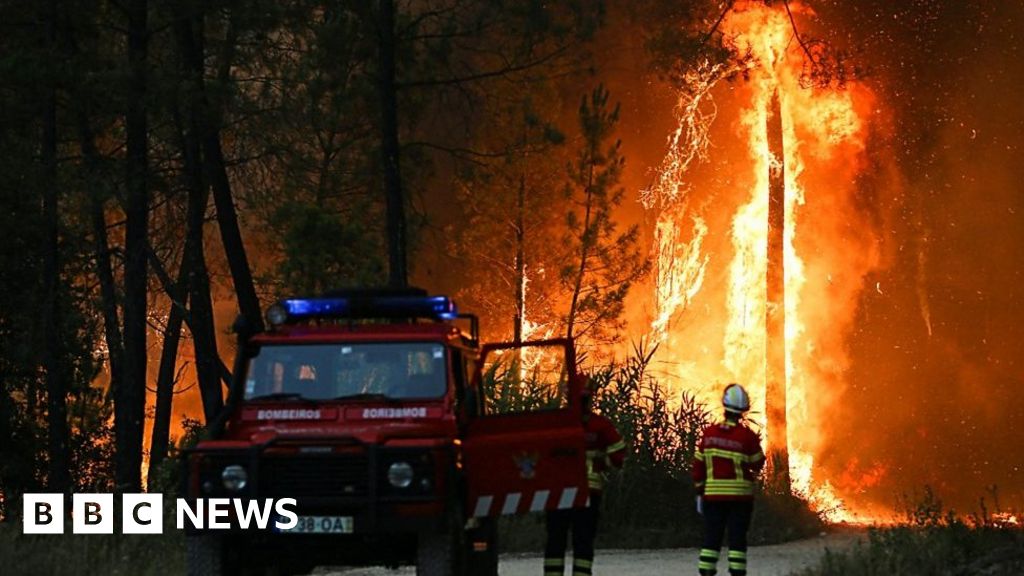 Wildfires rage across Europe amid heatwave