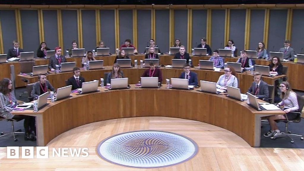 Welsh Youth Parliament mental health made priority BBC News