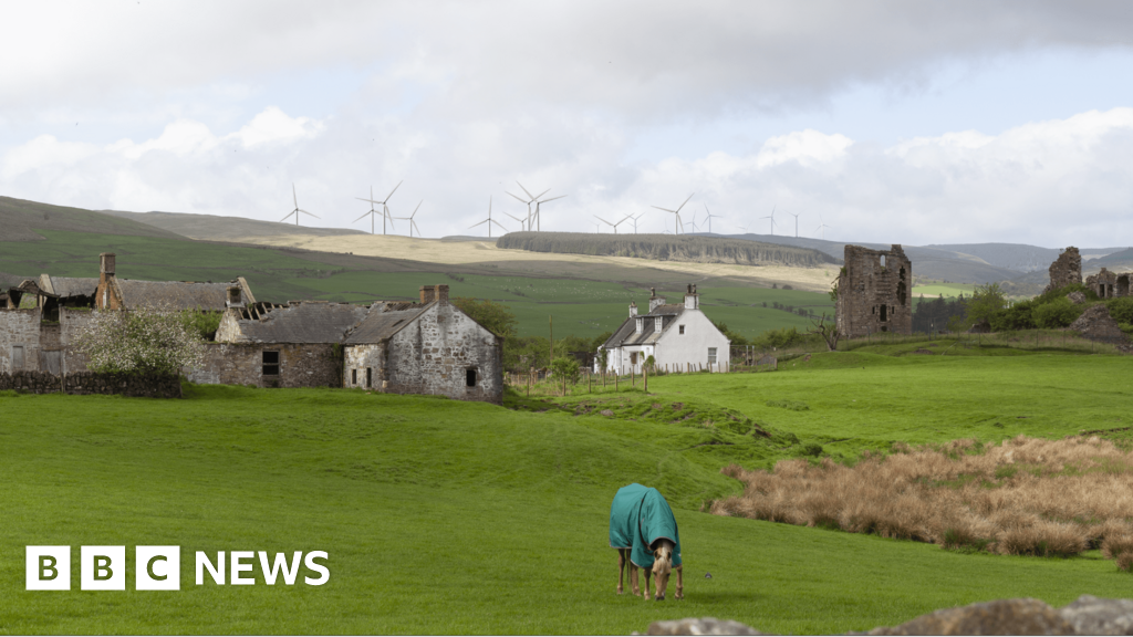 Wind farm approved despite grouse impact fears