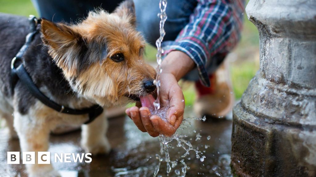 Lincolnshire braces itself after red heat alert issued