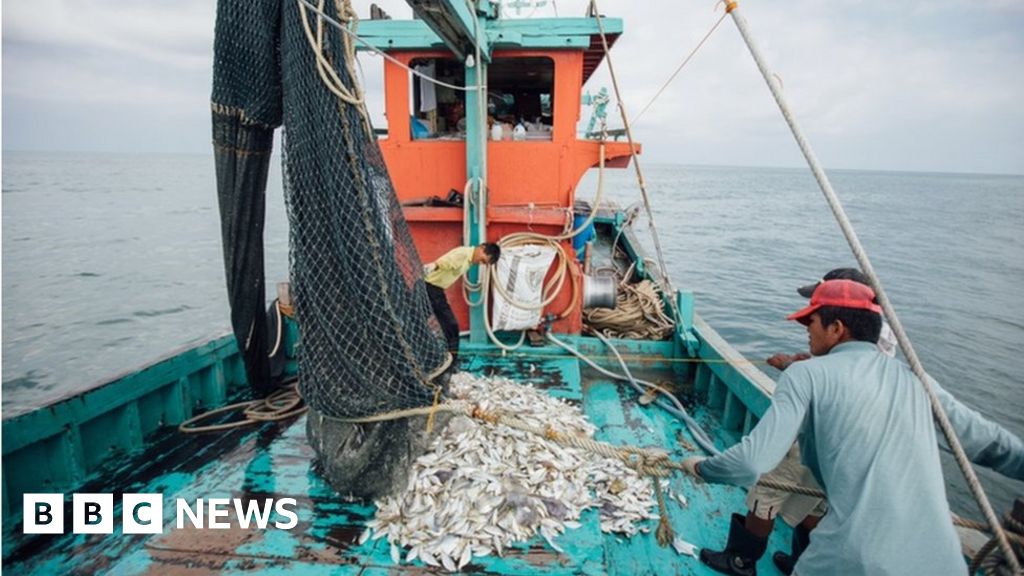 Asia's fishermen and farmers go digital during virus